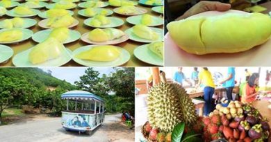 บุฟเฟ่ต์ทุเรียนหมอนทอง จ.ระยอง บุฟเฟ่ต์ทุเรียนหมอนทอง จ.ระยอง