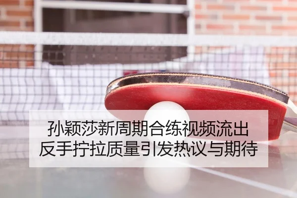 孙颖莎新周期合练视频流出 反手拧拉质量引发热议与期待