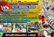 ฉลองวันสงกรานต์กับสวนสัตว์เปิดเขาเขียว สวนสัตว์เปิดเขาเขียว-พัทยา-ศรีราชา-ชลบุรี